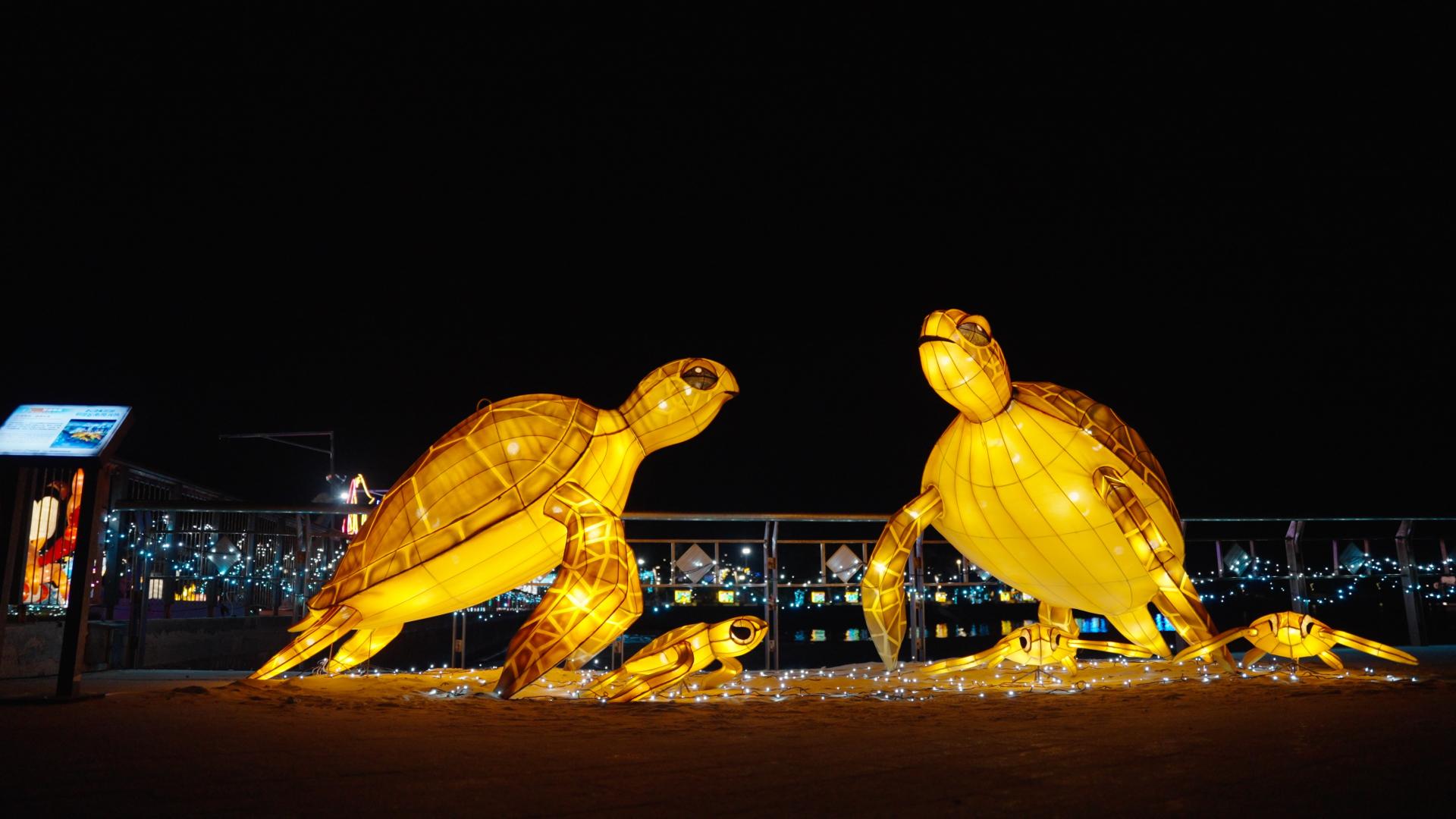 London Design Awards Winner - The 2024 Penghu Wind Music and Light Festival