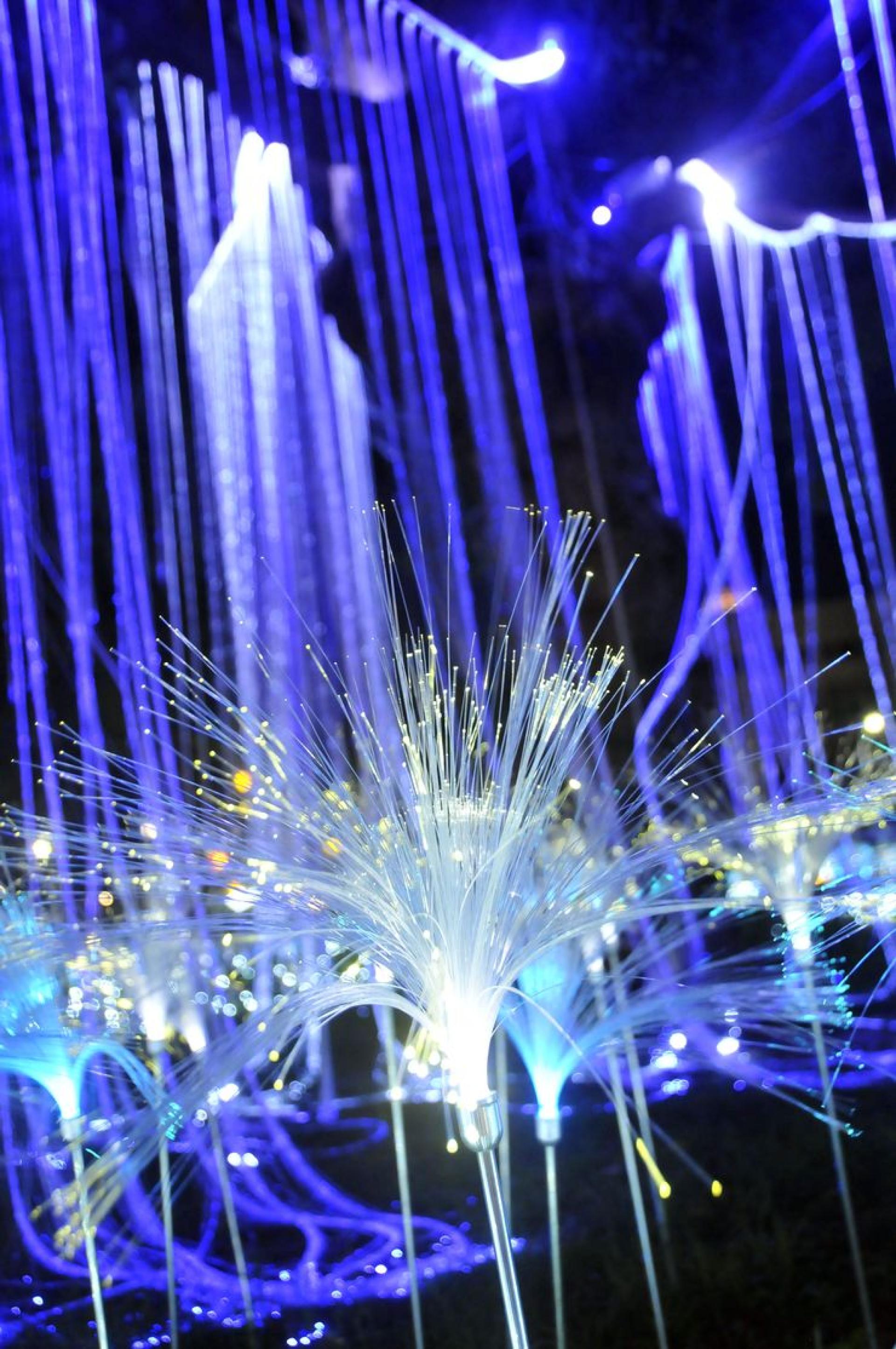 London Design Awards Winner - 2024 TAITUNG TIE HUA