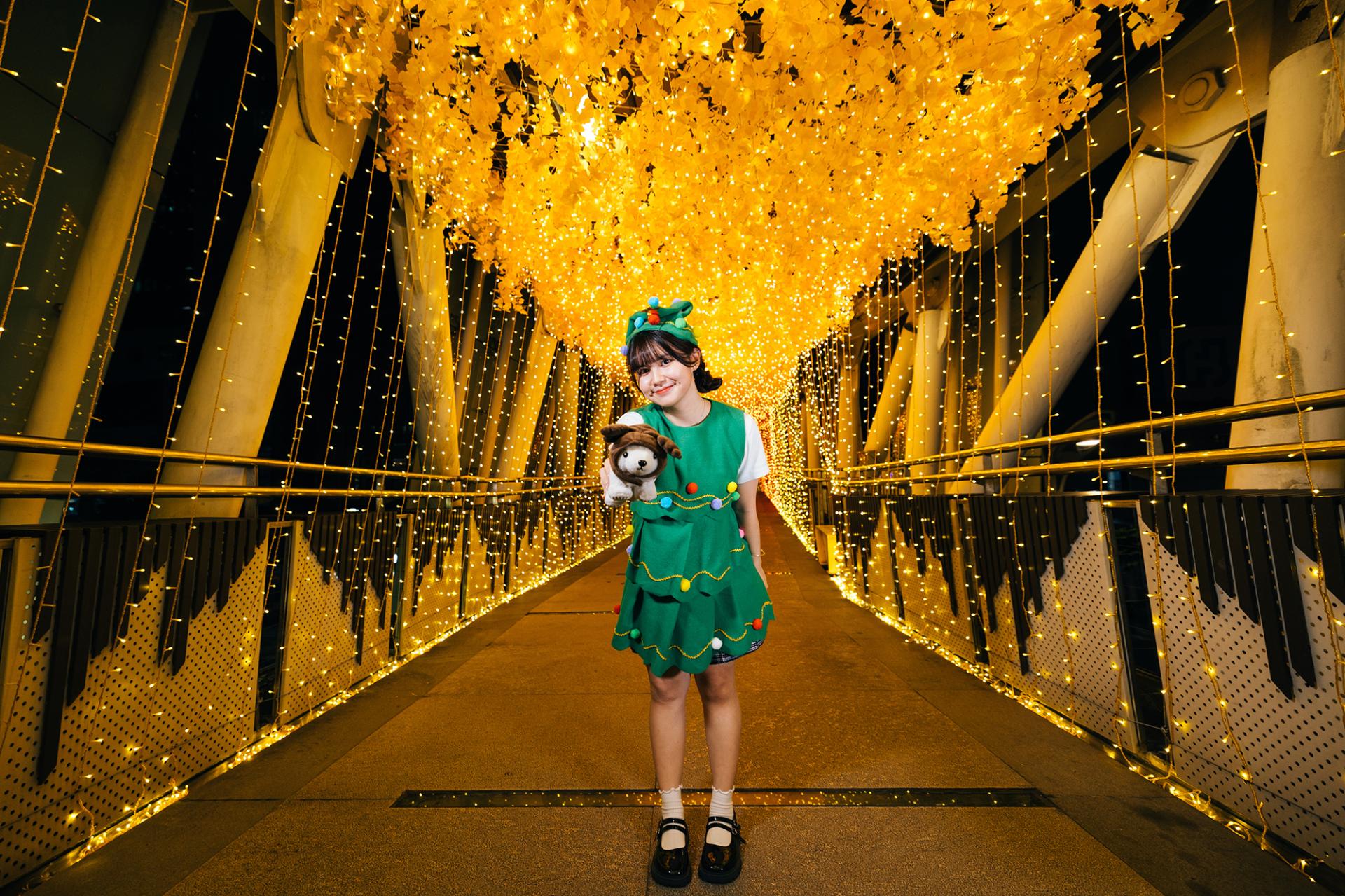 London Design Awards Winner - 2024 Christmasland in New Taipei City