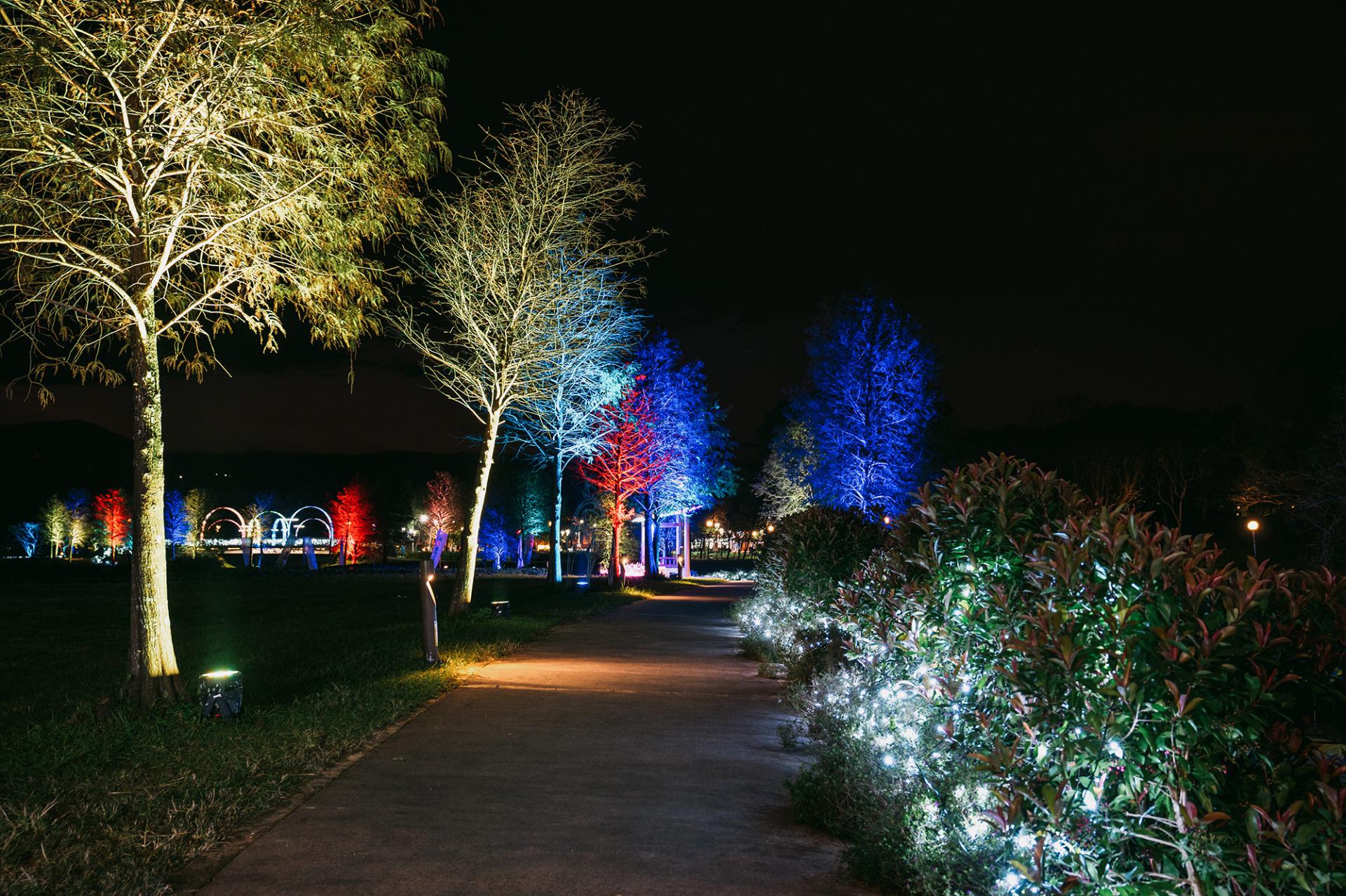 London Design Awards Winner - In 2025,  Dongshan old Harbor Lantern Festival