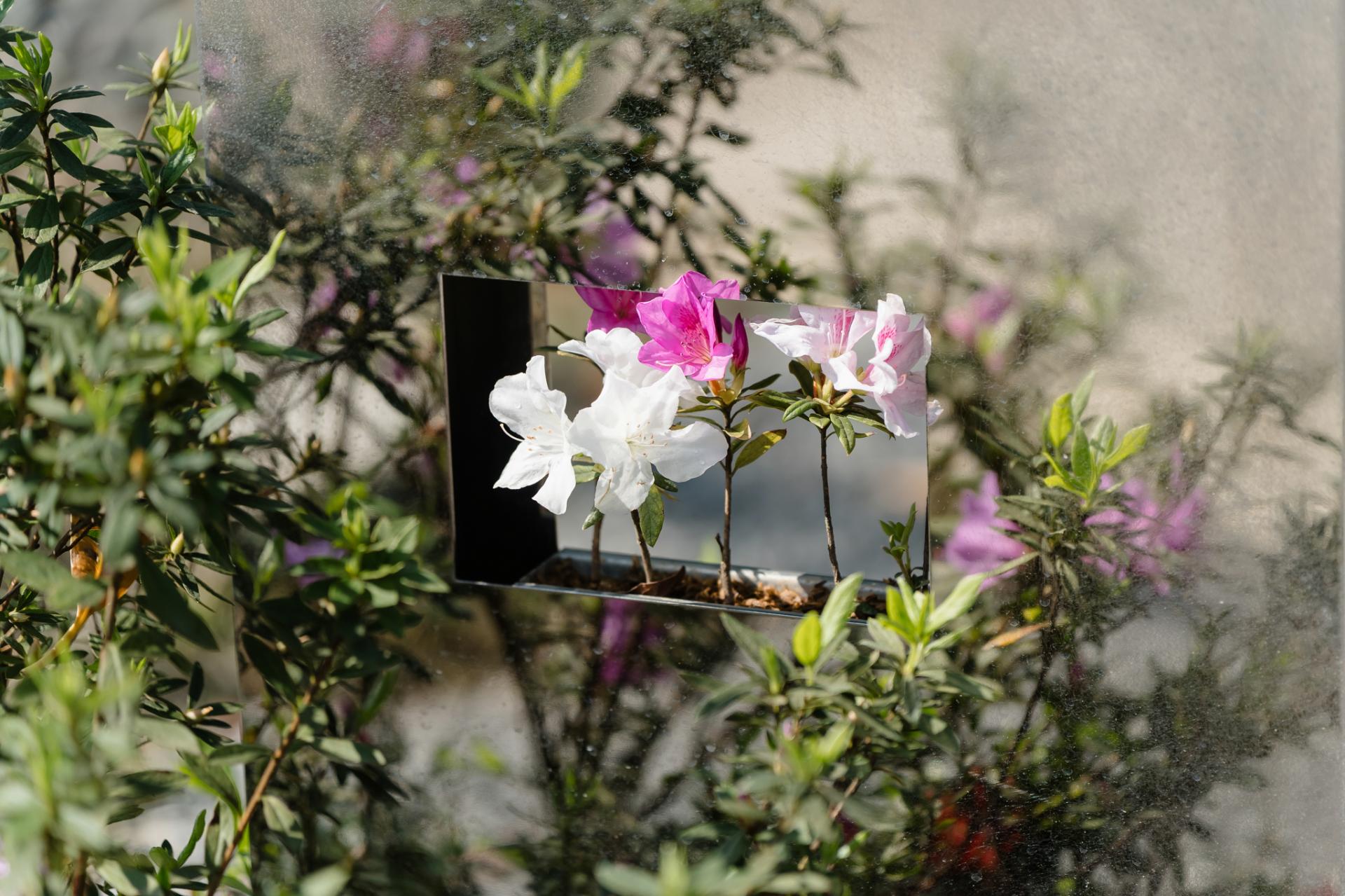 London Design Awards Winner - 2025 Let’s Go Bloom