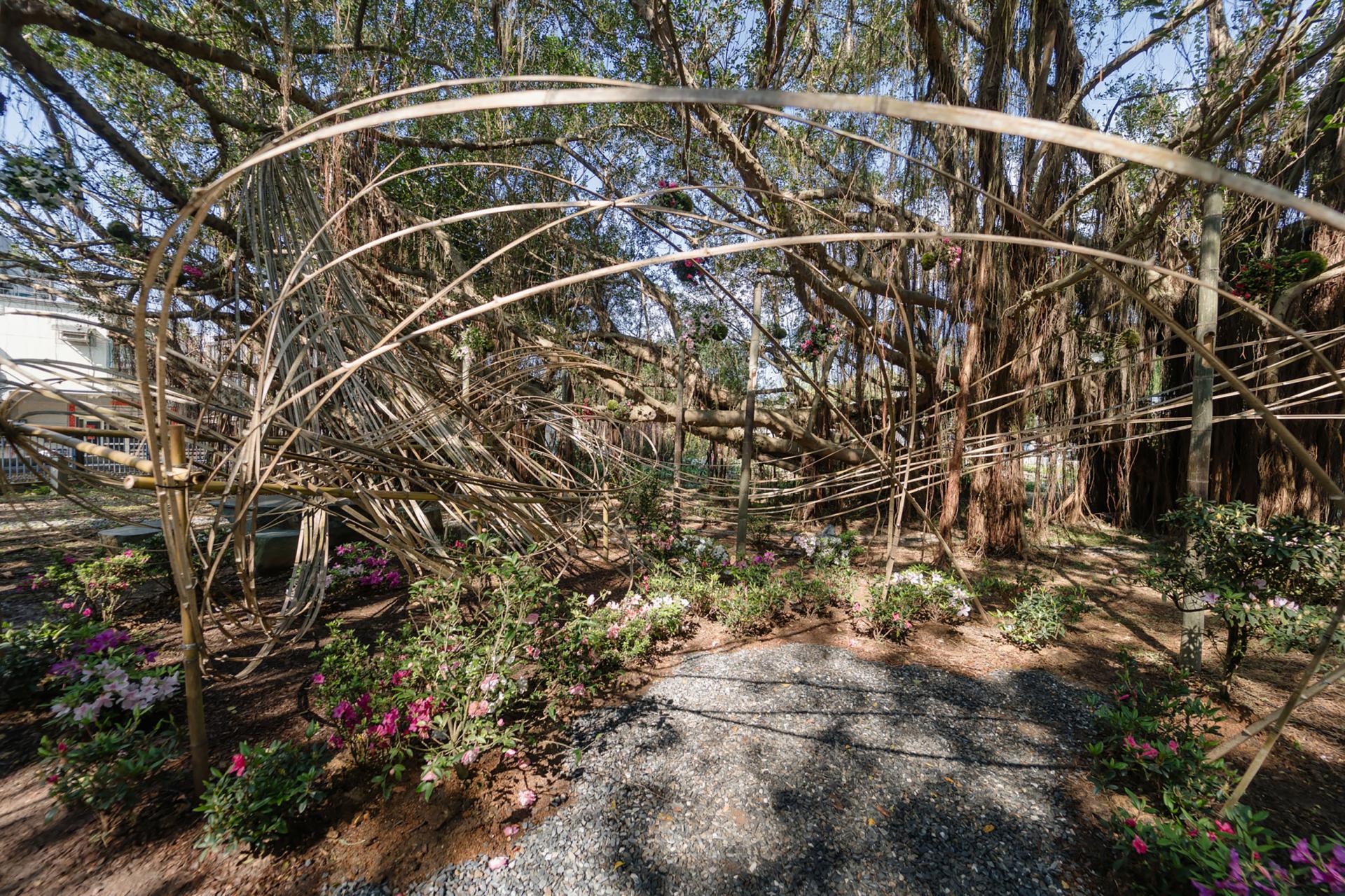 London Design Awards Winner - 2025 Let’s Go Bloom