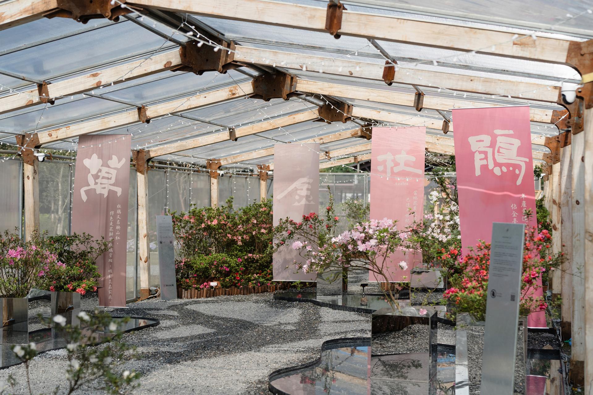 London Design Awards Winner - 2025 Let’s Go Bloom