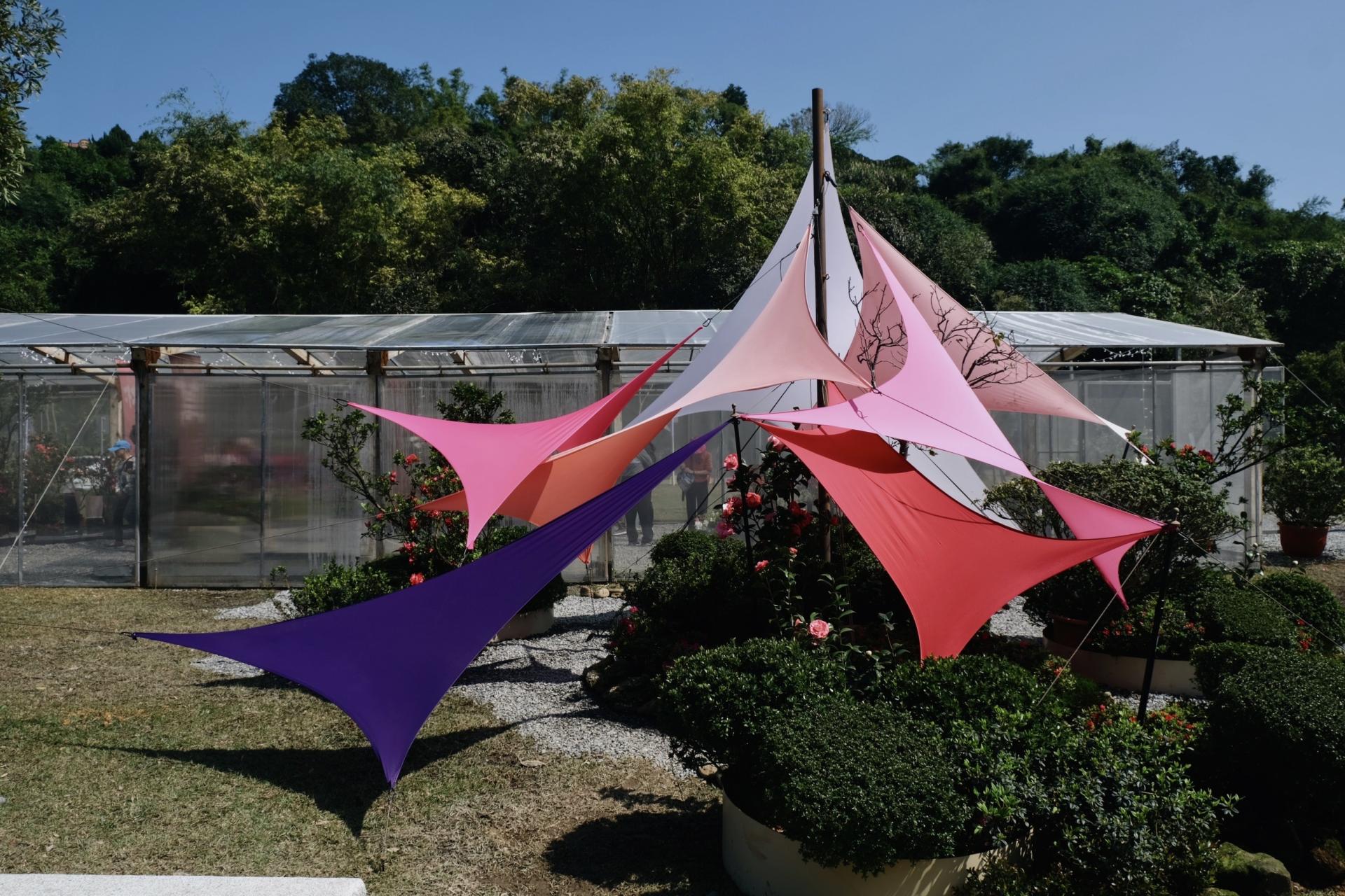London Design Awards Winner - 2025 Let’s Go Bloom