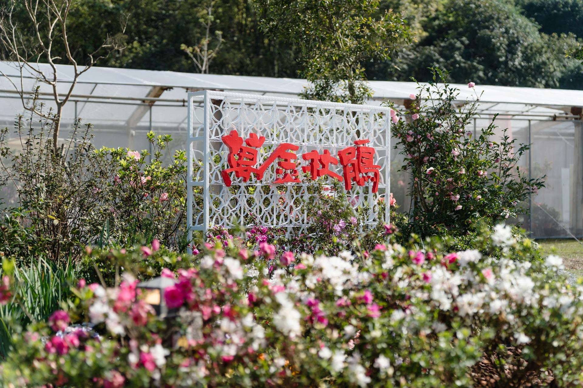 London Design Awards Winner - 2025 Let’s Go Bloom