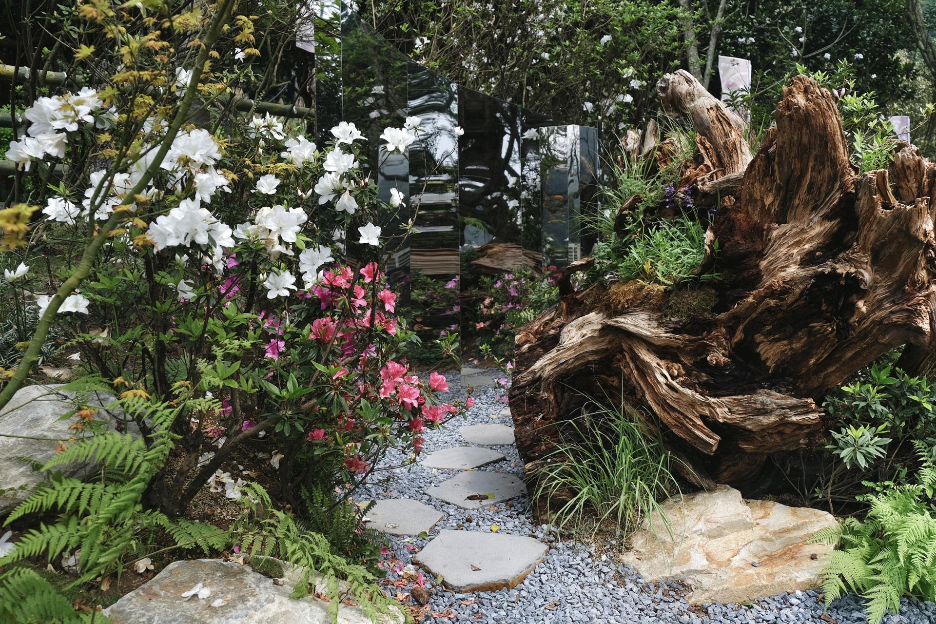 London Design Awards Winner - 2025 Let’s Go Bloom