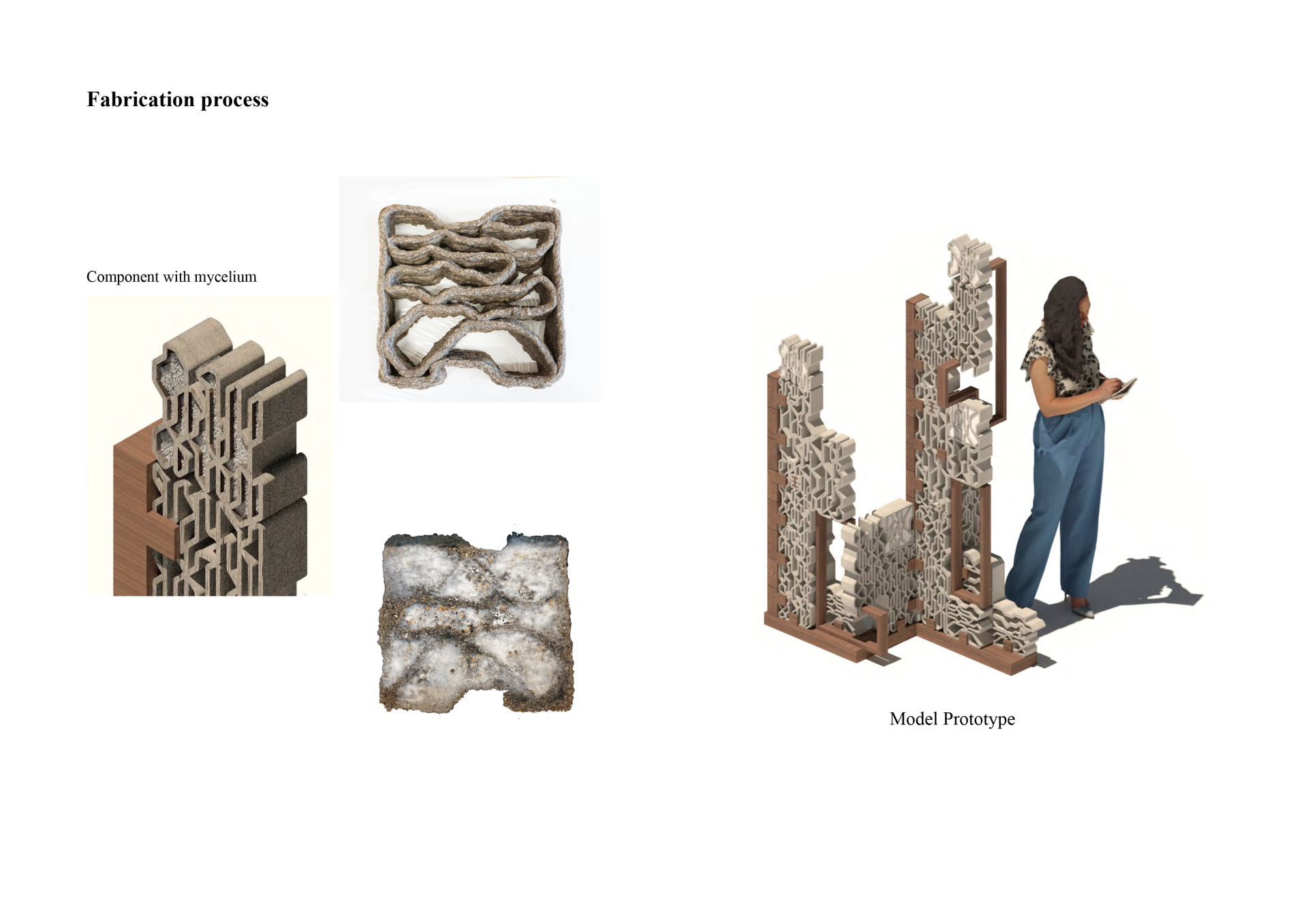London Design Awards Winner - Mycopulp