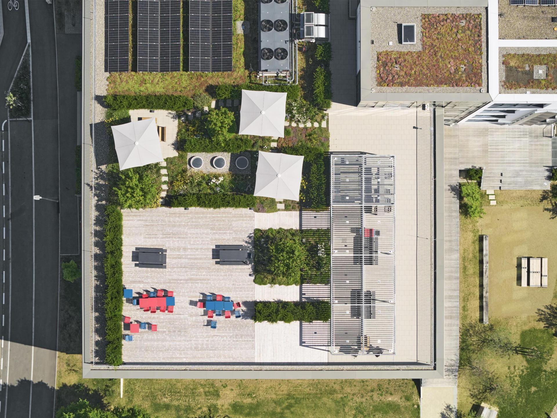 London Design Awards Winner - Annex to house research, practices and genetics laboratories