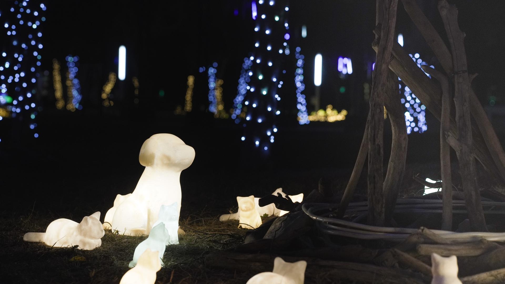 London Design Awards Winner - 2026 Central Taiwan Lantern Festival【Animal Dream World】