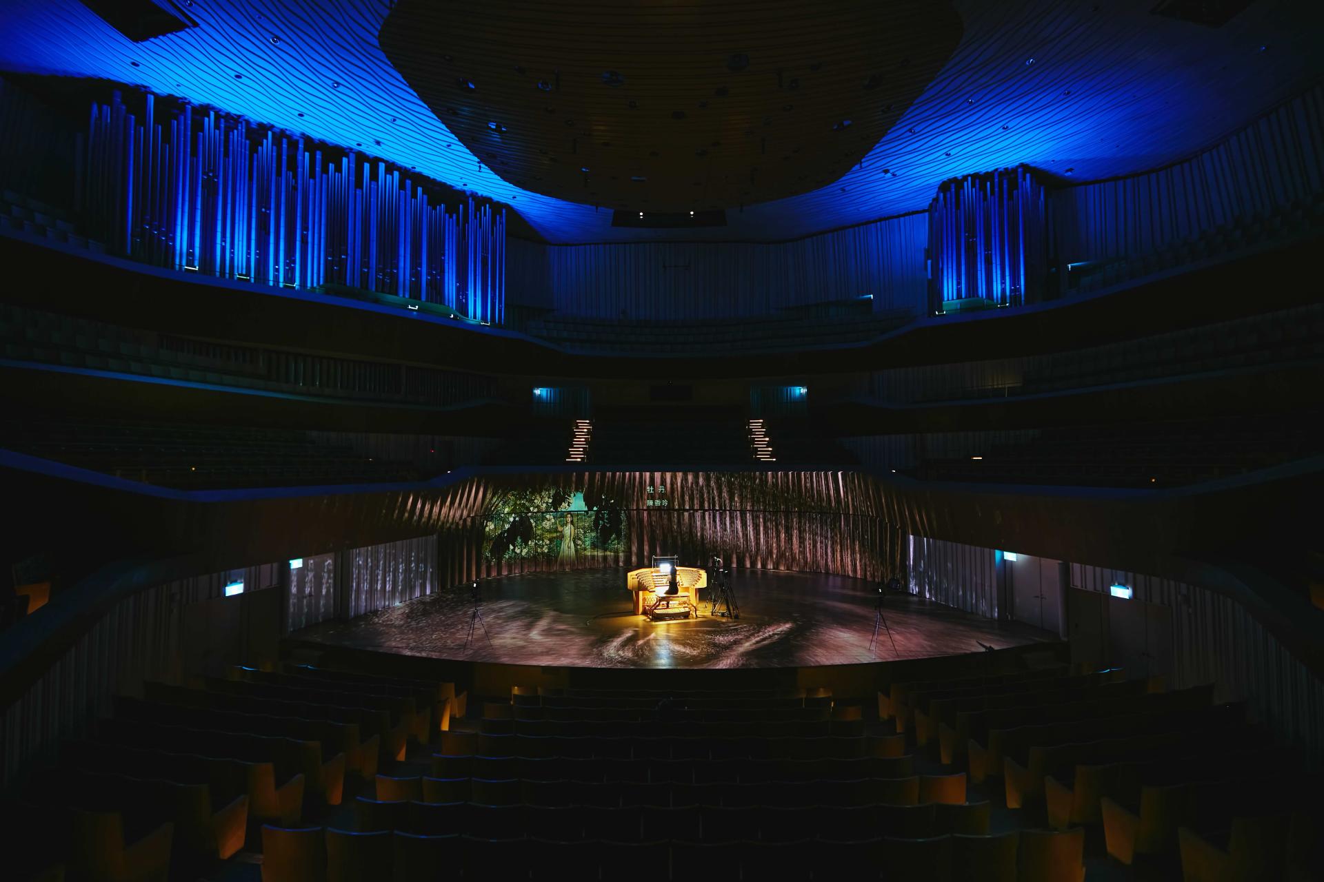 London Design Awards Winner - Blossoms and the Sanctuary