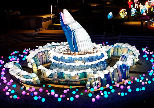 Rome Design Awards - The 2024 Penghu Wind Music and Light Festival