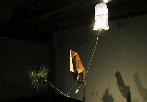 Rome Design Awards - Budding Itch