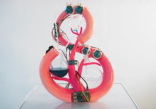 Rome Design Awards - Anphros