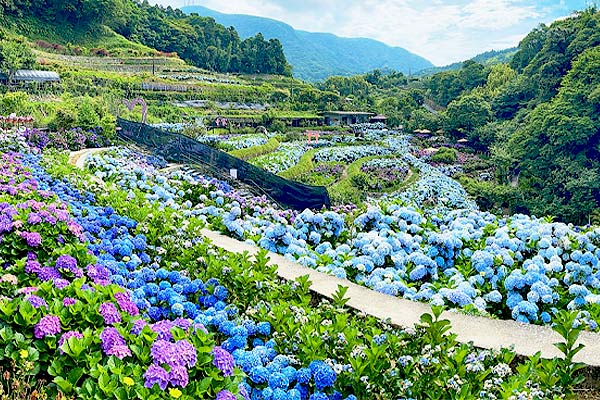 Flowers In Taipei Secures Gold for Its Public Art & Installation Concept