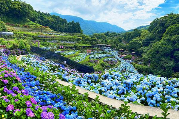 Flowers In Taipei has won Gold for its Flower-Themed Exhibitions